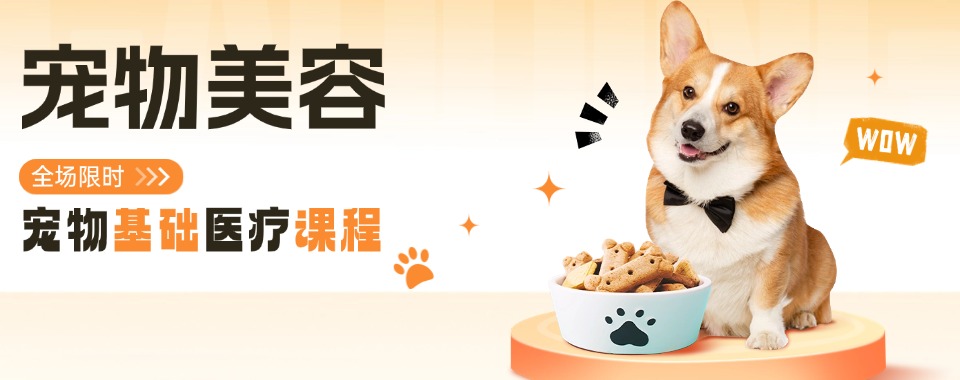 浙江省杭州市2026正规靠谱宠物美容培训机构三大排名公布