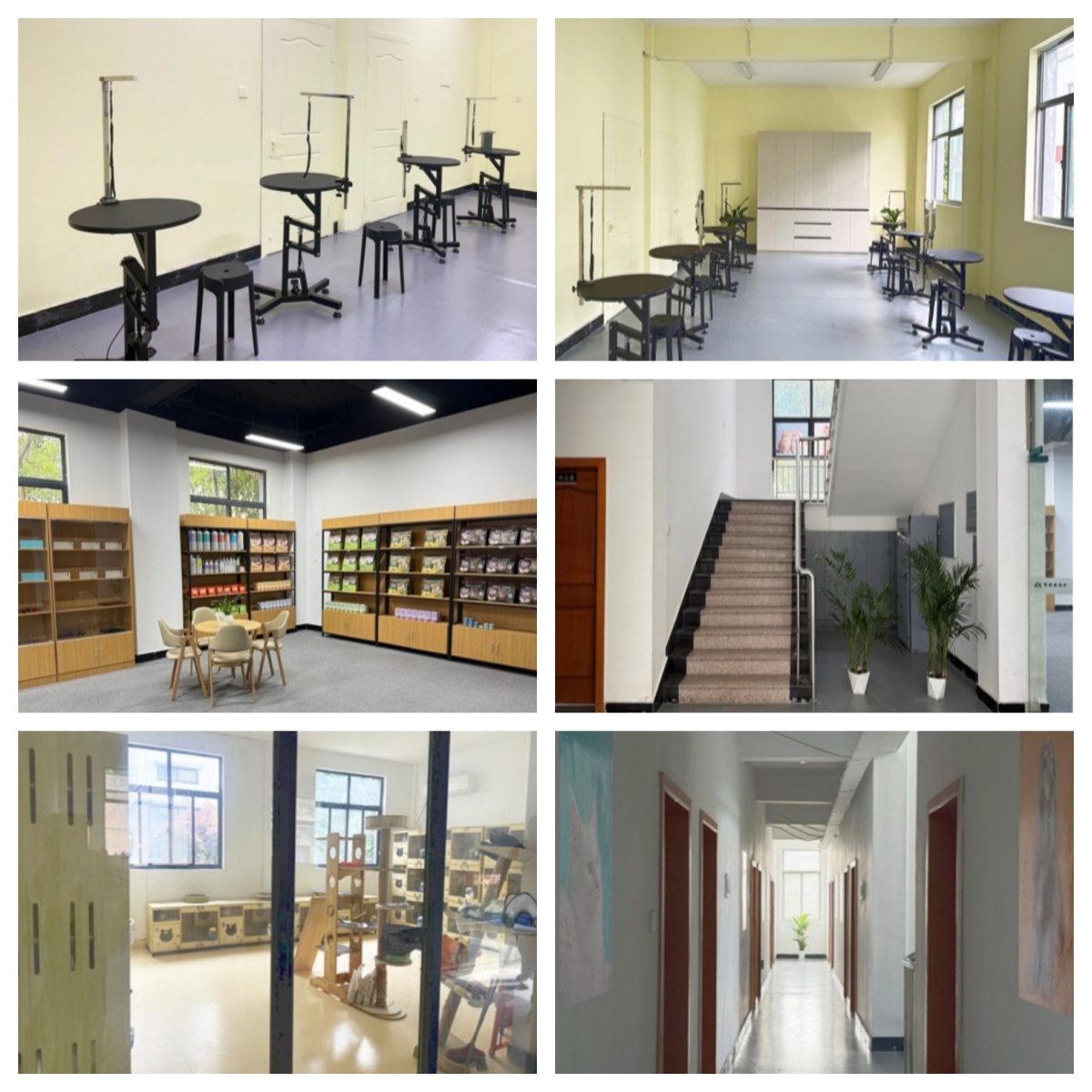 浙江杭州余杭区宠物医疗与护理培训三大排名深度盘点