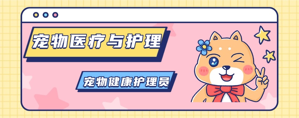 浙江杭州余杭区宠物医疗与护理培训三大排名深度盘点
