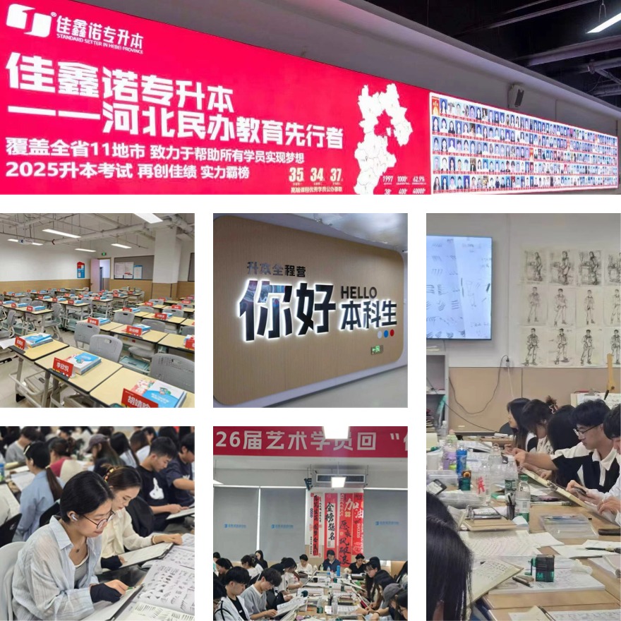 十大石家庄正规专门针对统招专升本培训机构2026名单盘点