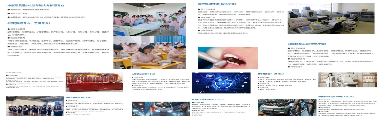 精选湖南娄底地区新能源汽车技术专业专科学校10大排名一览