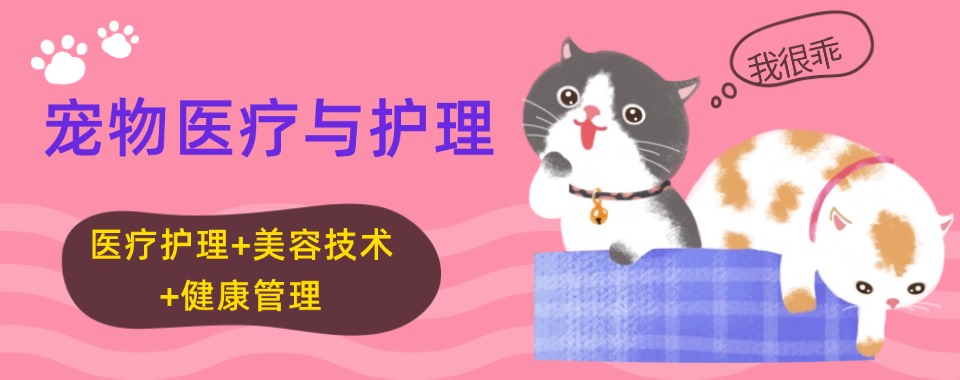 甄选!浙江省杭州市top宠物医疗与护理专业培训学校榜单盘点