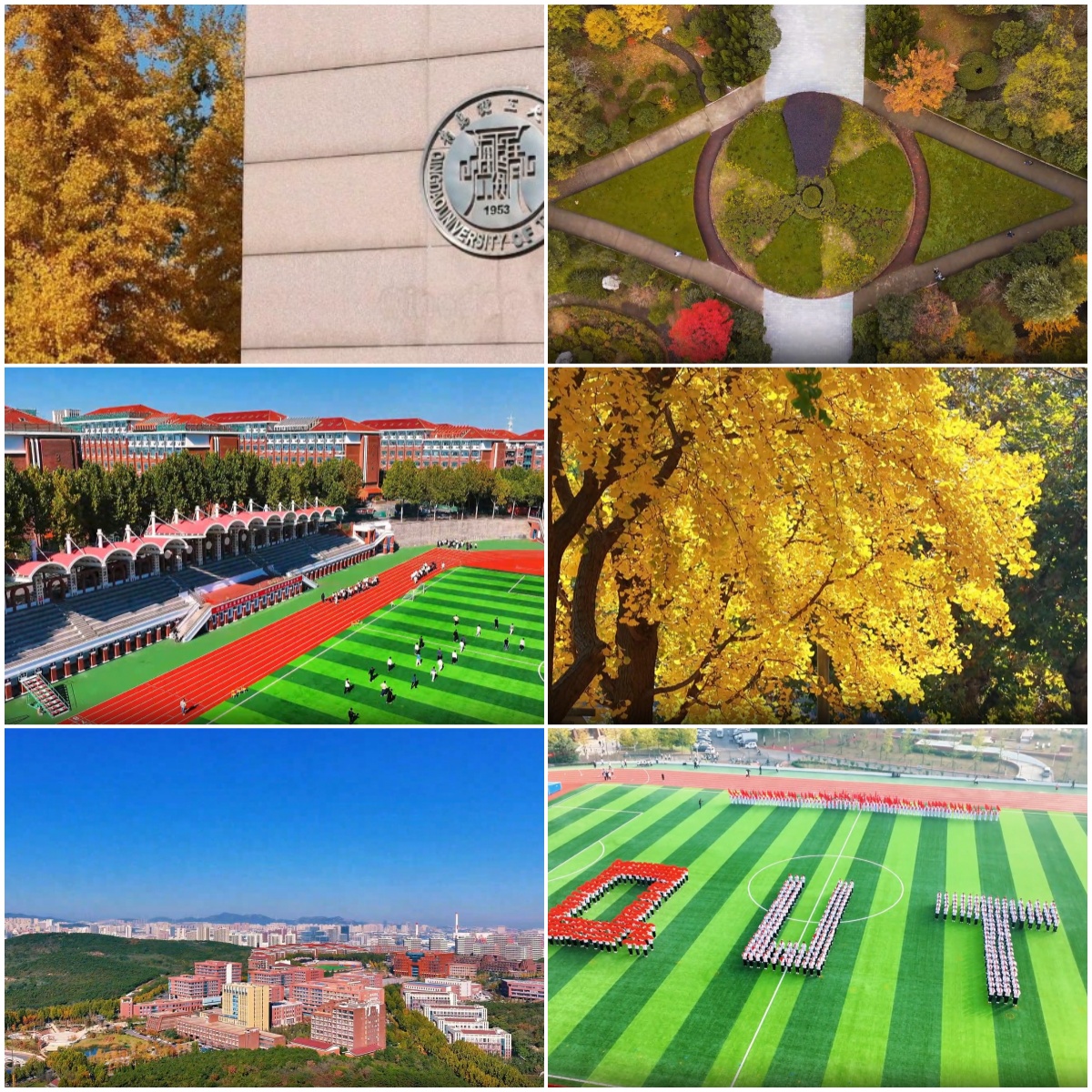 靠谱的青岛地区AIGC设计师培训机构最新排名TOP10