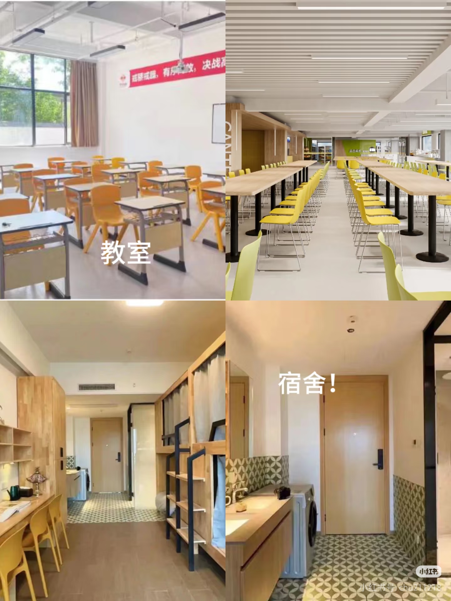 2026东莞市南城区西平东五路这些高考复读全托辅导口碑好机构,让你离名校更近一步