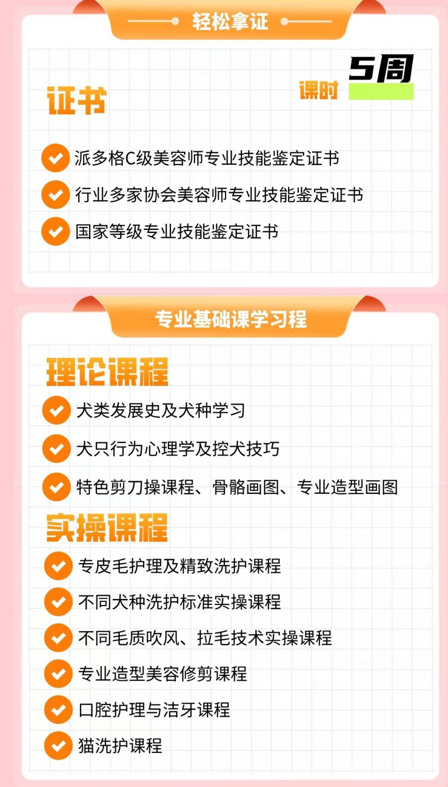 【宠物美容学习】广西南京地区认可度高的宠物美容师c证培训班四大排名