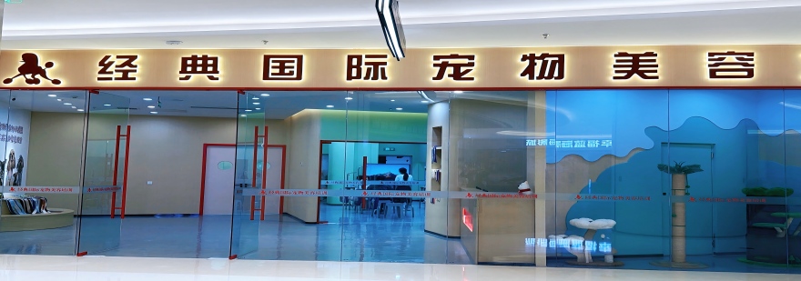 名单盘点|南京市江北区好评度非常高的宠物美容师培训学校榜首名单推荐