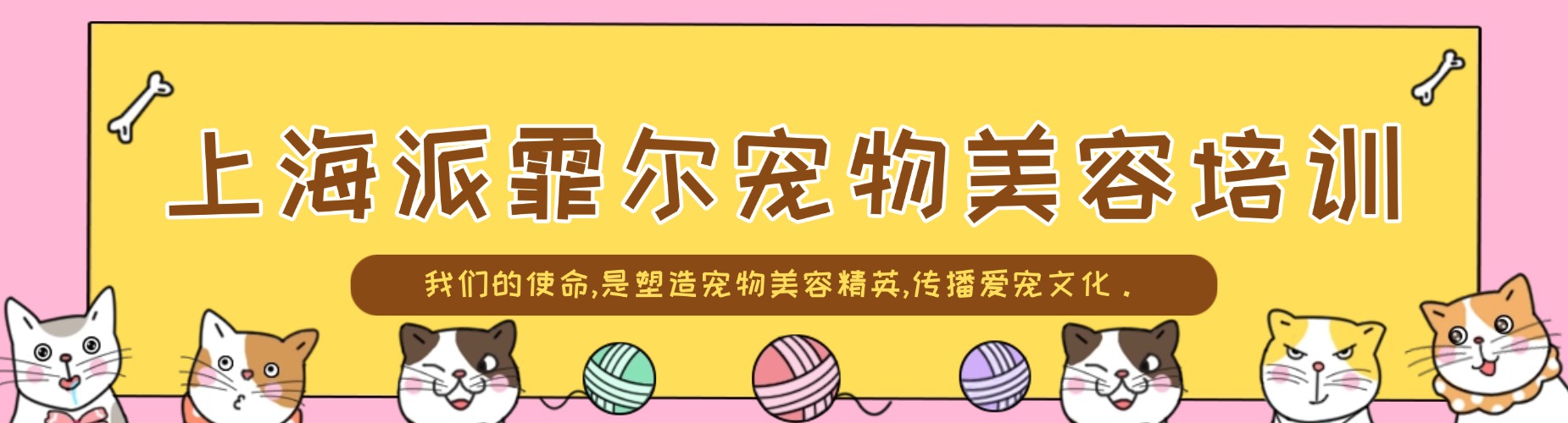 上海市宠物护理培训机构实力排行榜最新名单出炉