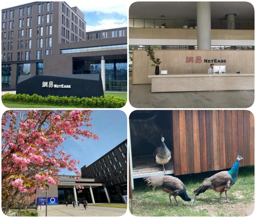 2026考研学生有福啦!几家口碑出众的线上考研辅导机构