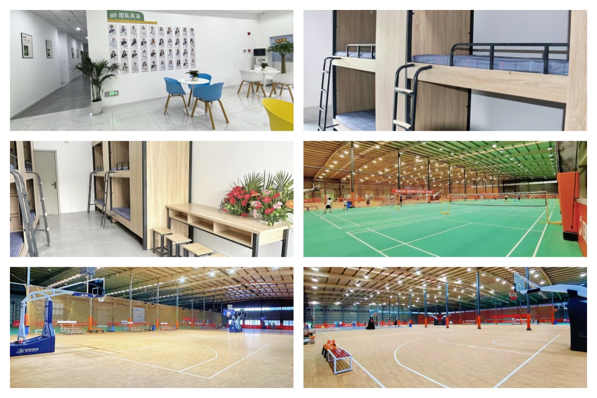 重庆市全日制高考复读学校:名校师资护航—助你逆袭升学路