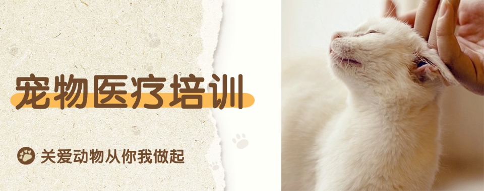 值得推荐的上海地区宠物医疗培训机构最新排行榜出炉