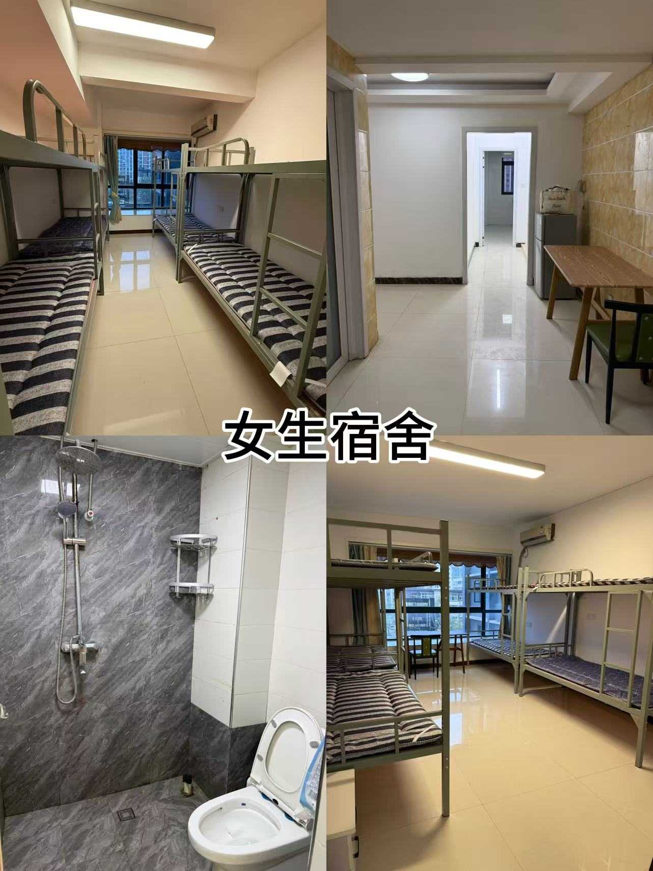 河南郑州市精选口碑不错的宠物美容培训机构最新排行榜揭晓