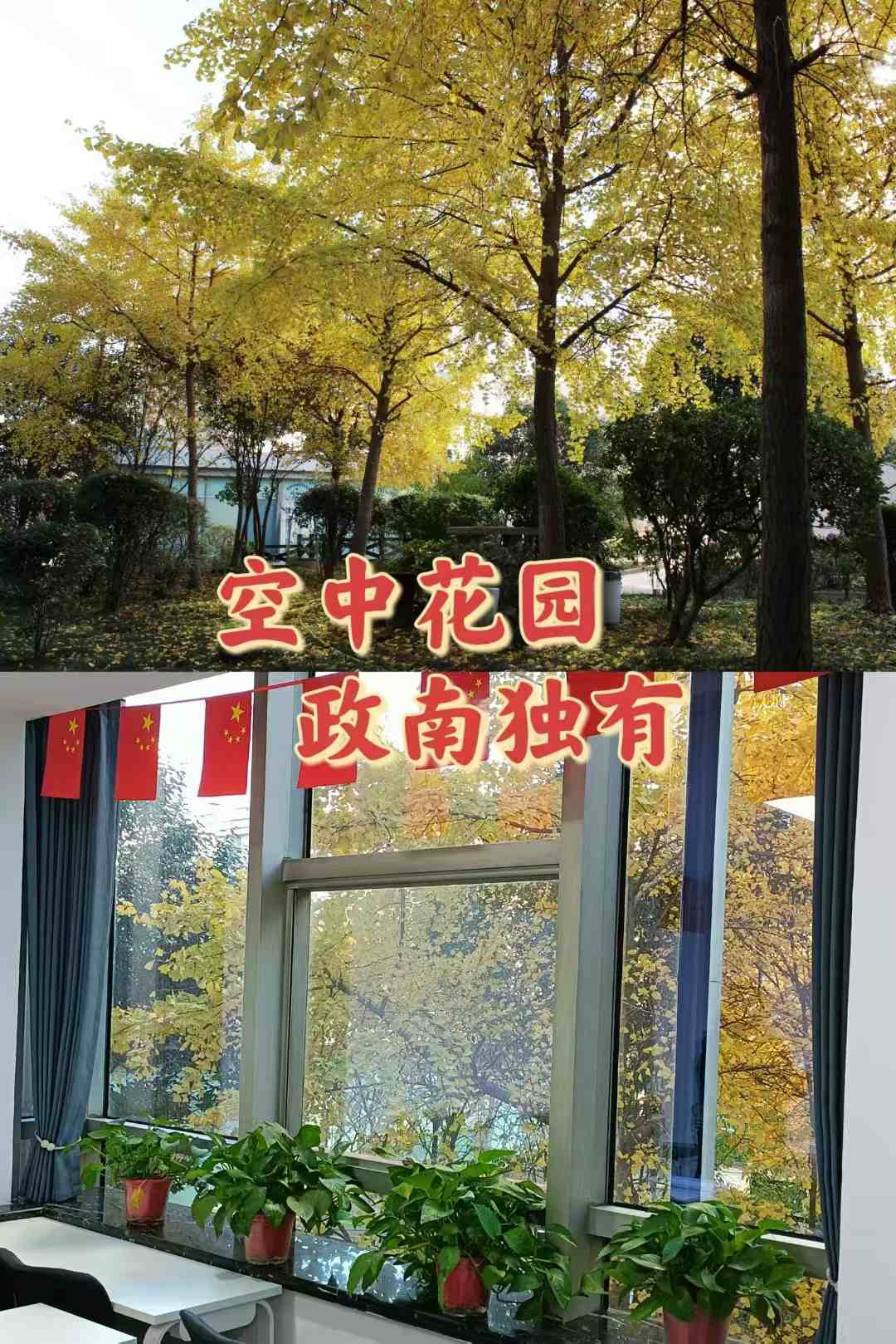 主推!陕西西安精选几家不错的省考培训机构名单榜首汇总