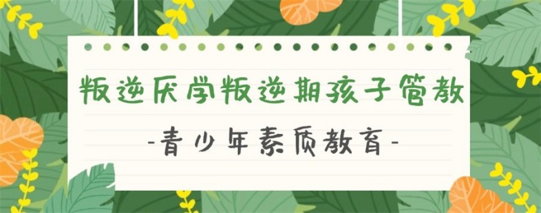 江西青少年叛逆心理疏导学校标杆教育健全孩子人格品行