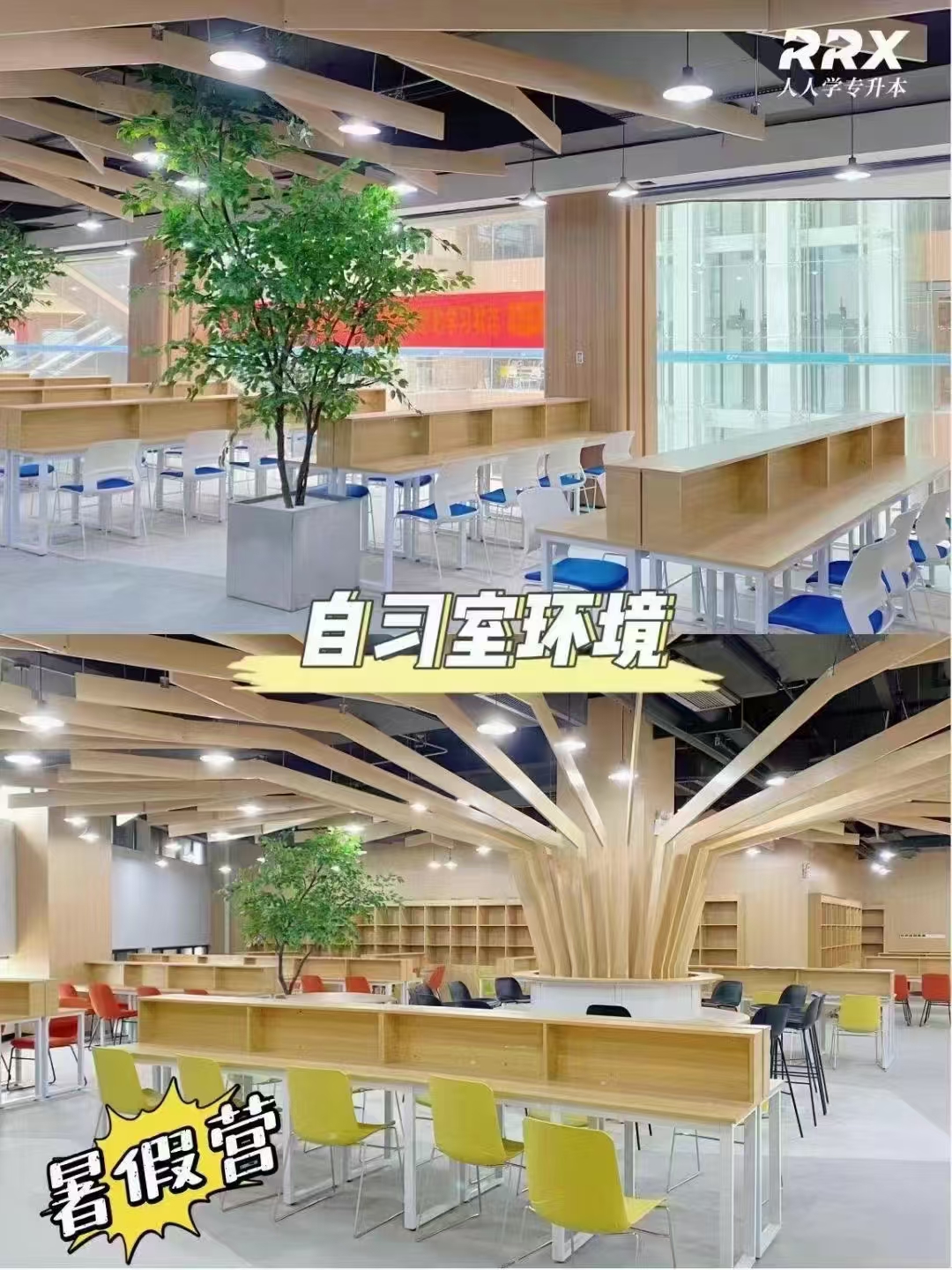 湖南专升本培训机构:专业师资带队,冲刺理想本科院校