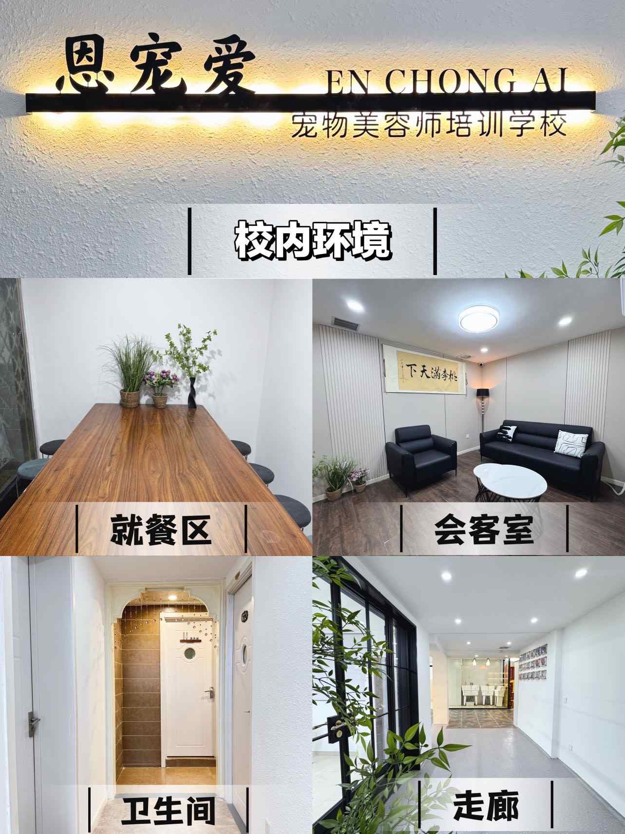 2026河南郑州值得选择的几家口碑好的宠物美容培训机构