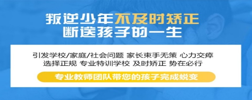 2026广西十大教育机构实力排名最新前十榜