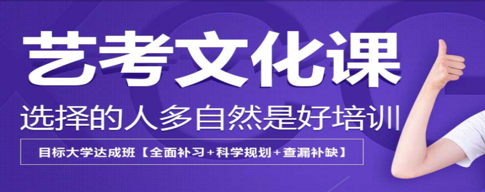 广西南宁对比不同机构,口碑好的艺考文化课培训机构独树一帜