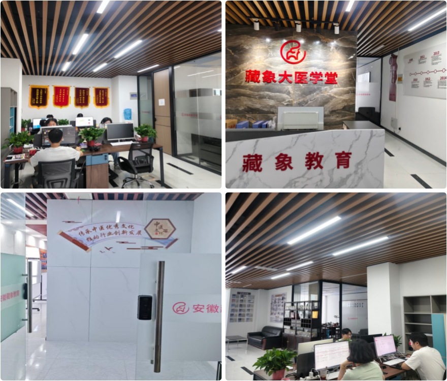 安徽合肥市综合各维度,哪家中医师承培训机构更出色