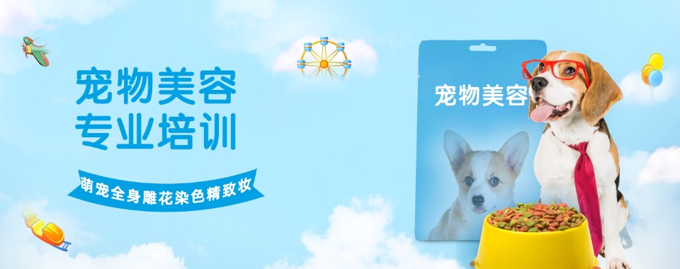 成都市从这些方面看,哪家宠物美容培训机构好