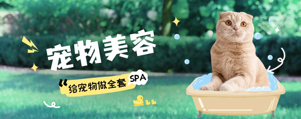 强烈推荐上海市宠物美容培训机构排行榜