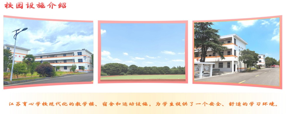 江苏省镇江市叛逆期孩子心理干预学校头部对比清单