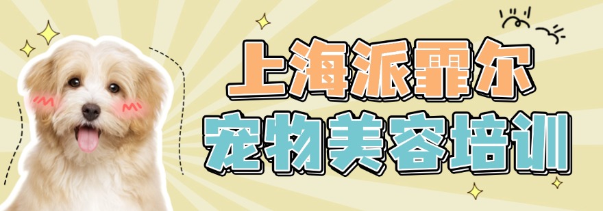盘点上海市甄选的宠物美容培训机构排行榜