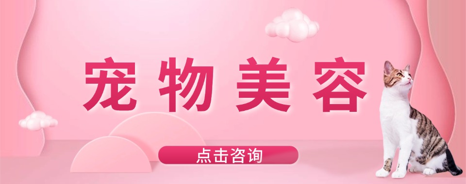 盘点上海市甄选的宠物美容培训机构排行榜