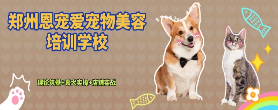 郑州市口碑好的宠物美容培训班今日盘点汇总更新一览