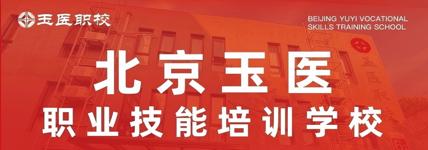 北京中医职业学校十大培训机构汇总对比课程体系与就业安置服务情况