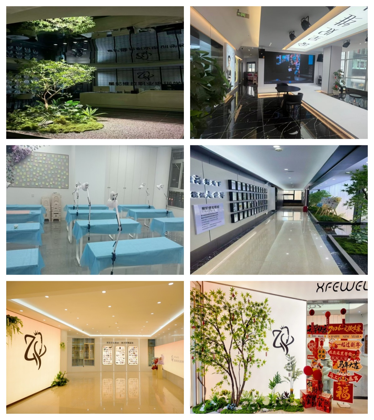 四川省成都市学美甲美睫的福音!推荐几家优质机构