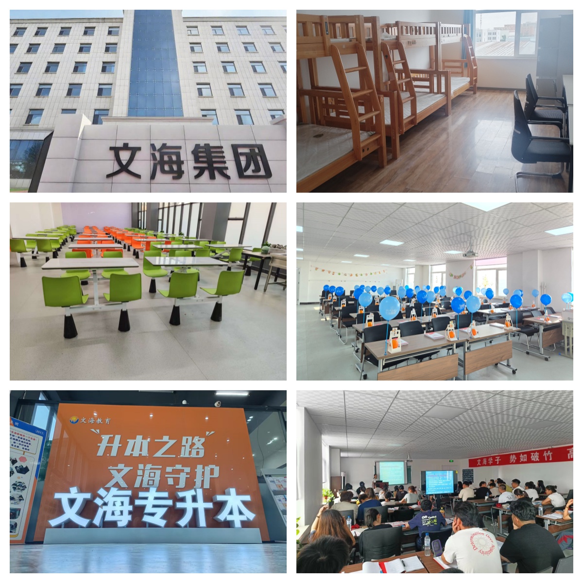 吉林长春市统招专升本培训机构-开启学历进阶+人生新程的优势之门