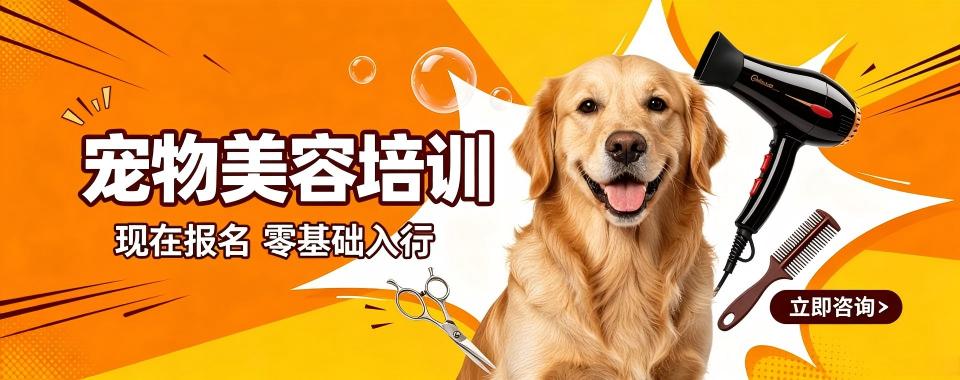 浙江省杭州市这家口碑炸裂的宠物美容培训机构,别错过呀