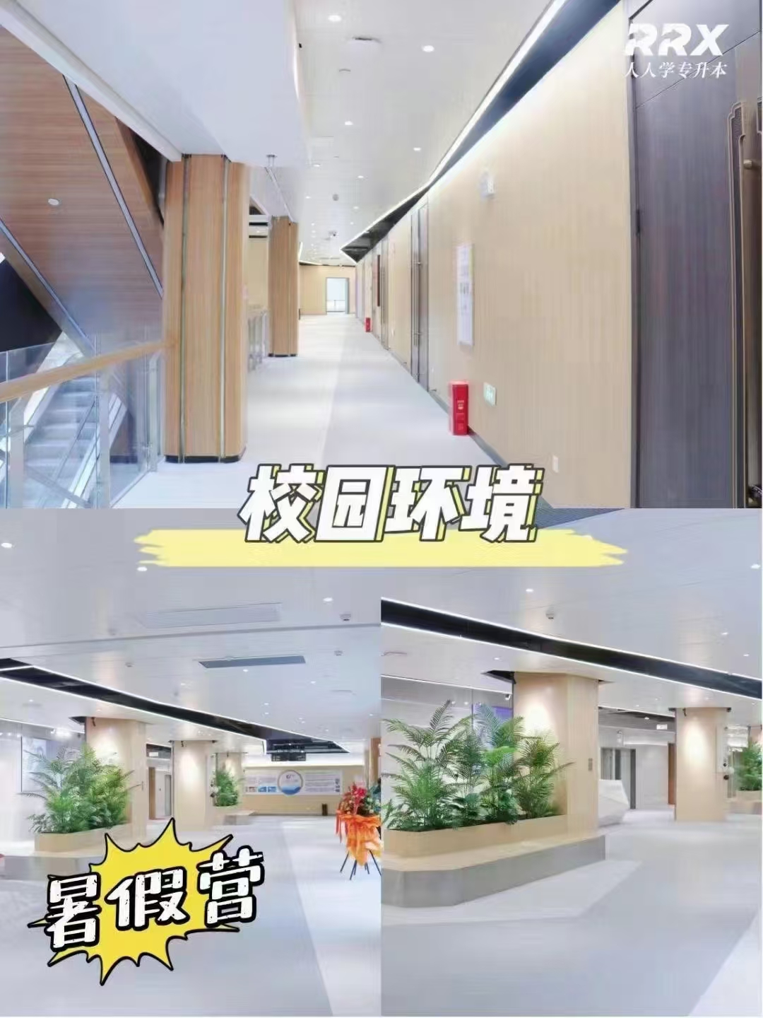 湖南专升本专项集训辅导,规划科学备考方案,夯实基础稳步冲刺全日制本科