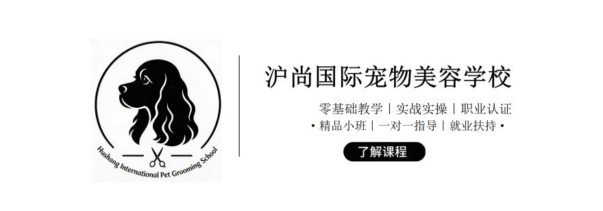 上海市评价好的宠物美容培训机构实力排名更新
