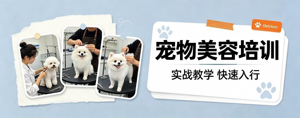四川省成都市对比各大宠物美容培训机构,这几家口碑独树一帜