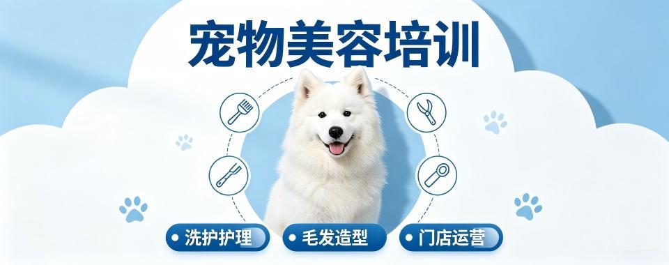 四川省成都市对比各大宠物美容培训机构,这几家口碑独树一帜