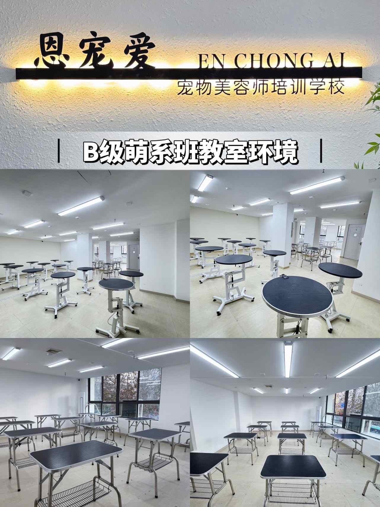 郑州市口碑评价好的宠物美容培训机构排名榜榜单最新公布