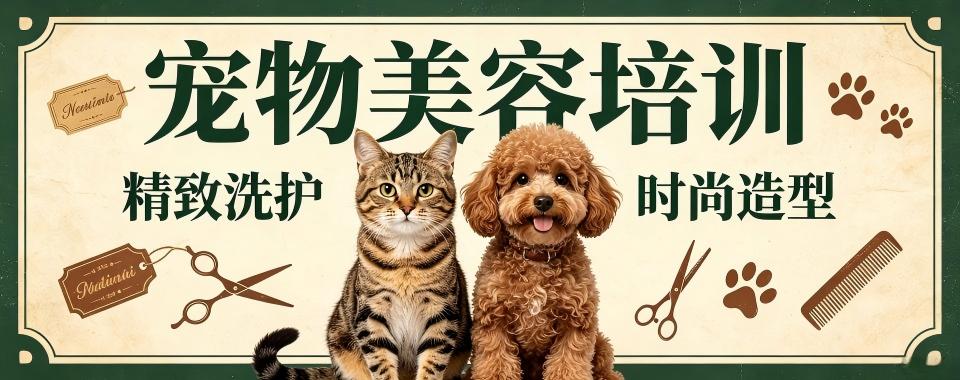 四川省成都市宠物美容培训机构大比拼,哪家才是王者