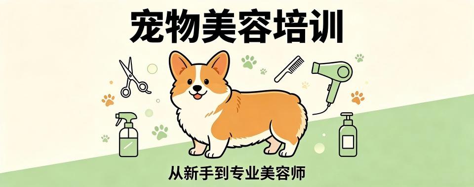 四川省成都市几家口碑极佳的宠物美容培训机构,速来了解