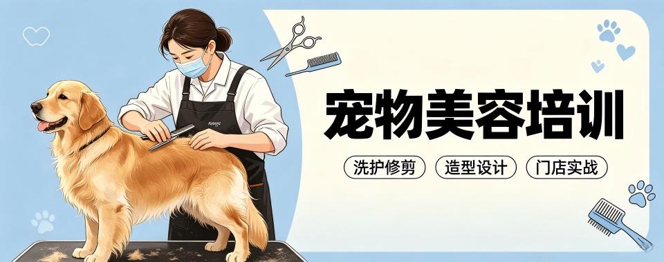 四川省成都市口碑不错的几家宠物美容培训机构推荐