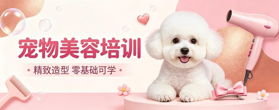 四川省成都市的宠物美容培训机构,哪家牛