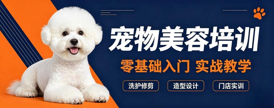 四川省成都市的宠物美容培训机构,哪家牛