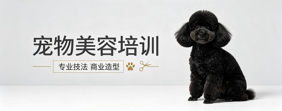 四川省成都市宠物美容培训机构口碑实力排行