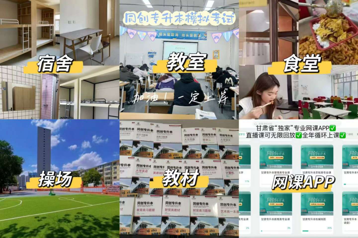 2026推荐!甘肃省兰州市教学专业的专升本培训机构十大排名