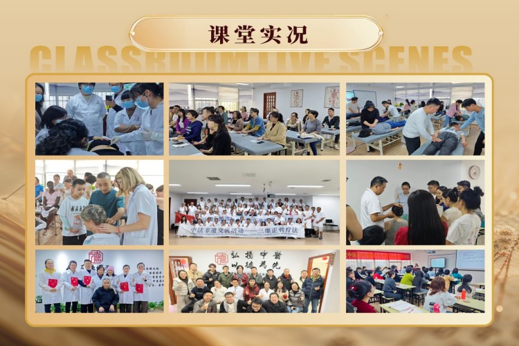 top排名揭秘|成都市中医师承培训班精选名单详情一览