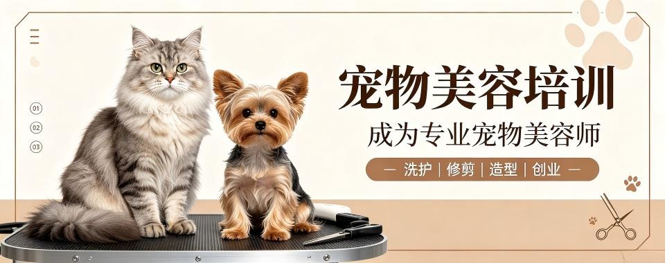 四川省成都市宠物美容培训机构哪家值得选?优势分析