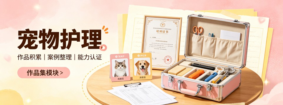 2026广州市宠物护理培训机构哪家强?深度剖析来啦