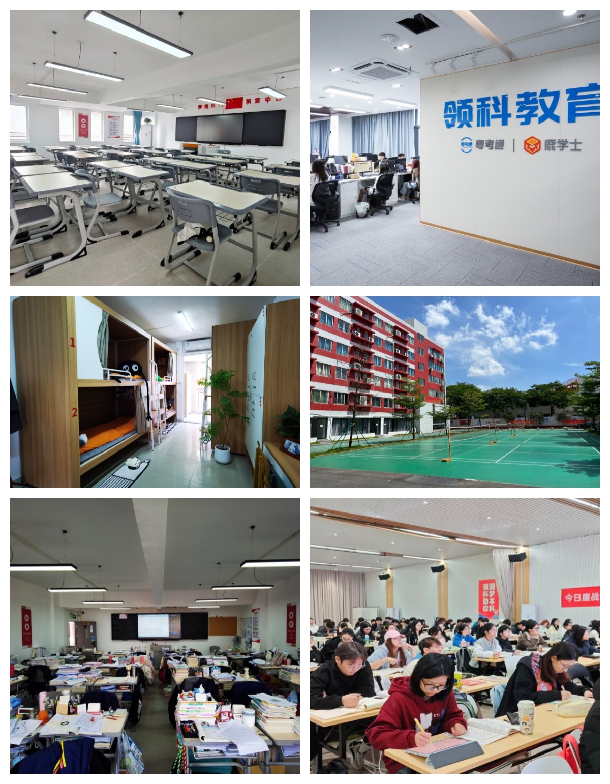 广东省广州市师资超强的专升本机构,哪家值得选?