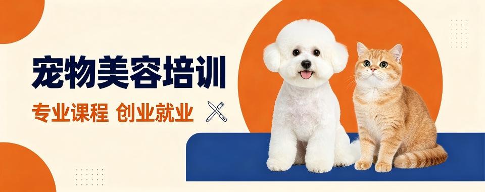 四川省成都市宠物美容培训机构哪家好?快来一探究竟