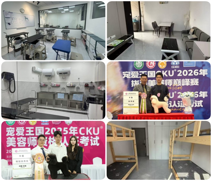 南昌学过的都说好!全网口碑最硬的宠物美容师培训学校盘点